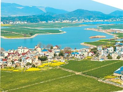 奋楫高质量发展，未来五年中国这样干