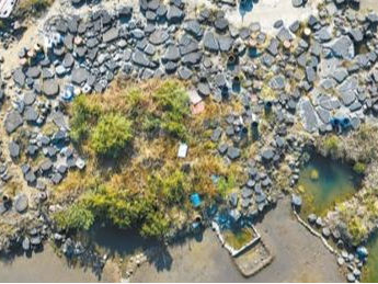 “轻重”思想的历史启示（跟着历史学经济）