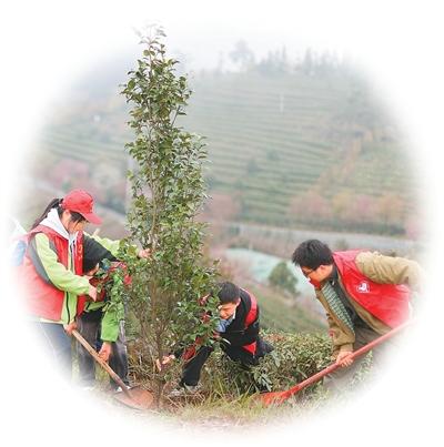 植此青绿 共赴春光