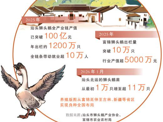 狮头鹅“北迁”记（三餐四季）