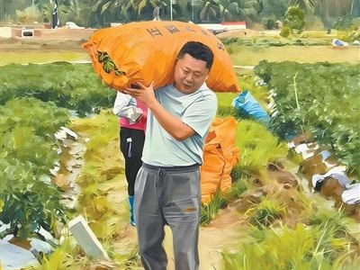 “太空莲”长在了佳塘村（驻村第一书记说）