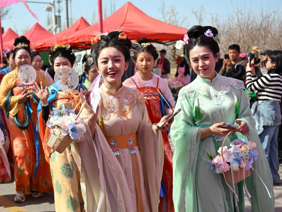 新疆吐鲁番：赴一场杏花之约