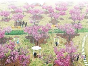 春日中国活力无限