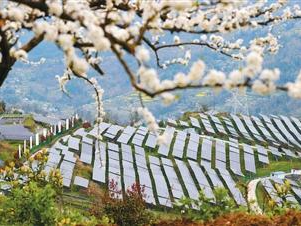 17%：一份“降碳增绿”的未来邀约（环球热点）