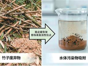 废竹材变“吸污能手”