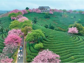 “在大陆投资兴业，我们倍感踏实！”