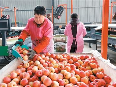 中央财政为乡村产业发展“撑腰”（锐财经）