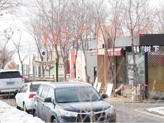 从“泥泞穷村”到“新疆民宿第一村”：村支书李桂琴的乡村振兴答卷