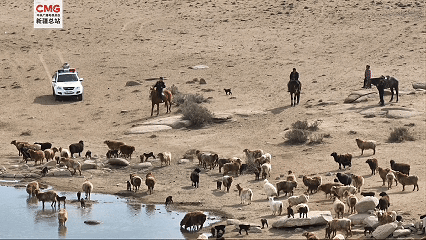 新疆春季转场接近尾声 各地护航牧民转场路