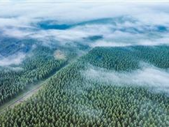 在大地遍植希望（中国的生态实践）