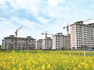 七十城房价数据释放市场复苏信号（锐财经）