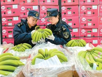 国门动植物检疫为开放护航