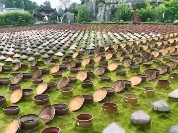 “小城游”热度持续攀升、出入境旅游双向升温 “五一”文旅市场蓄势待发