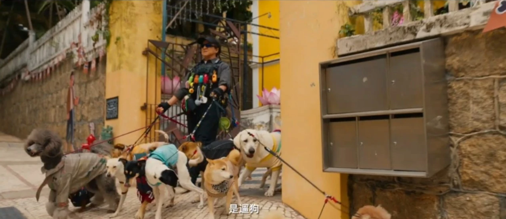 △《捕风追影》画面