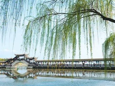 旅游市场春意盎然