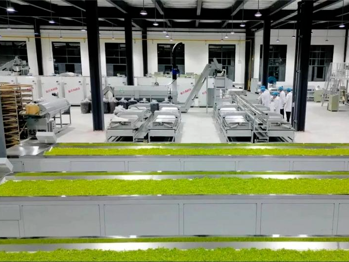 从“一叶”到“一业”