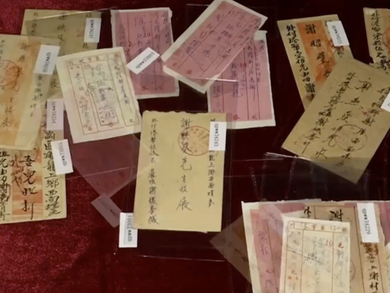 新华时评｜这封“情书”何以动人