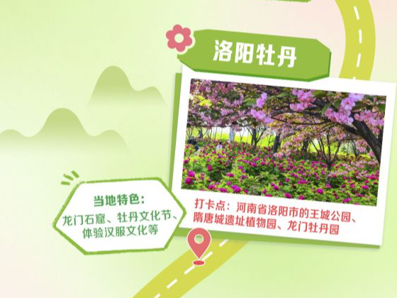 【经济画重点】 打开“赏花地图”解锁经济新图景