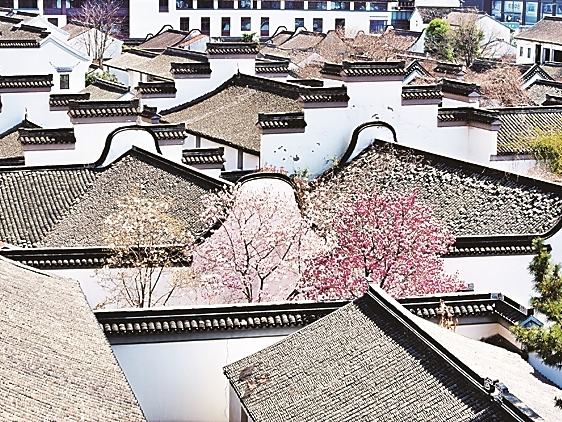 “古建游”缘何出圈走红