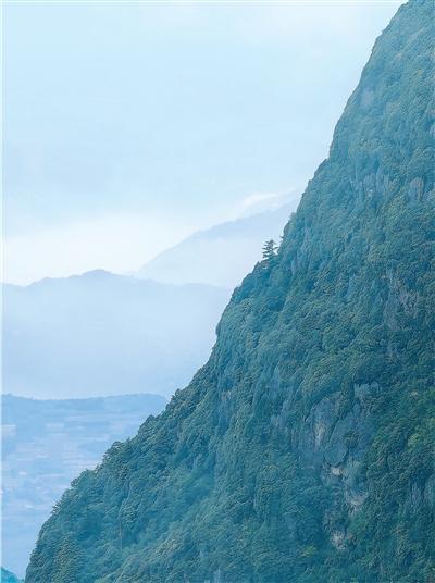 走进川渝世界自然遗产保护现场
