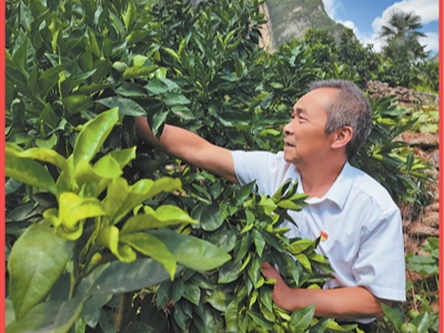 一个党员就是一面旗帜