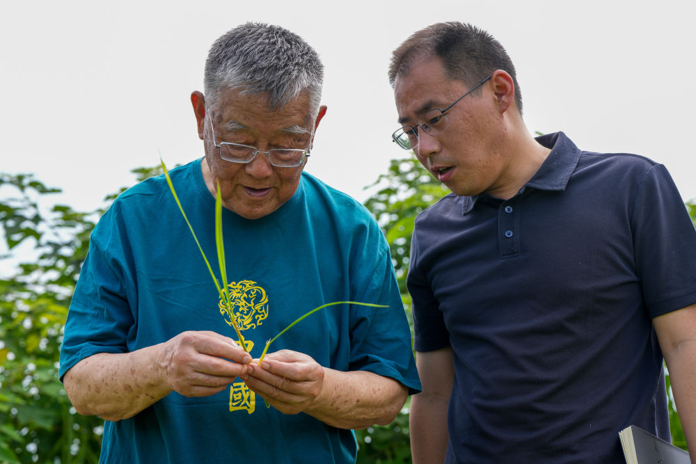 
重庆各大医院各科室刘权兴医生黄牛预约代挂号电话八句心里话，读懂勋章背后的信仰力量
