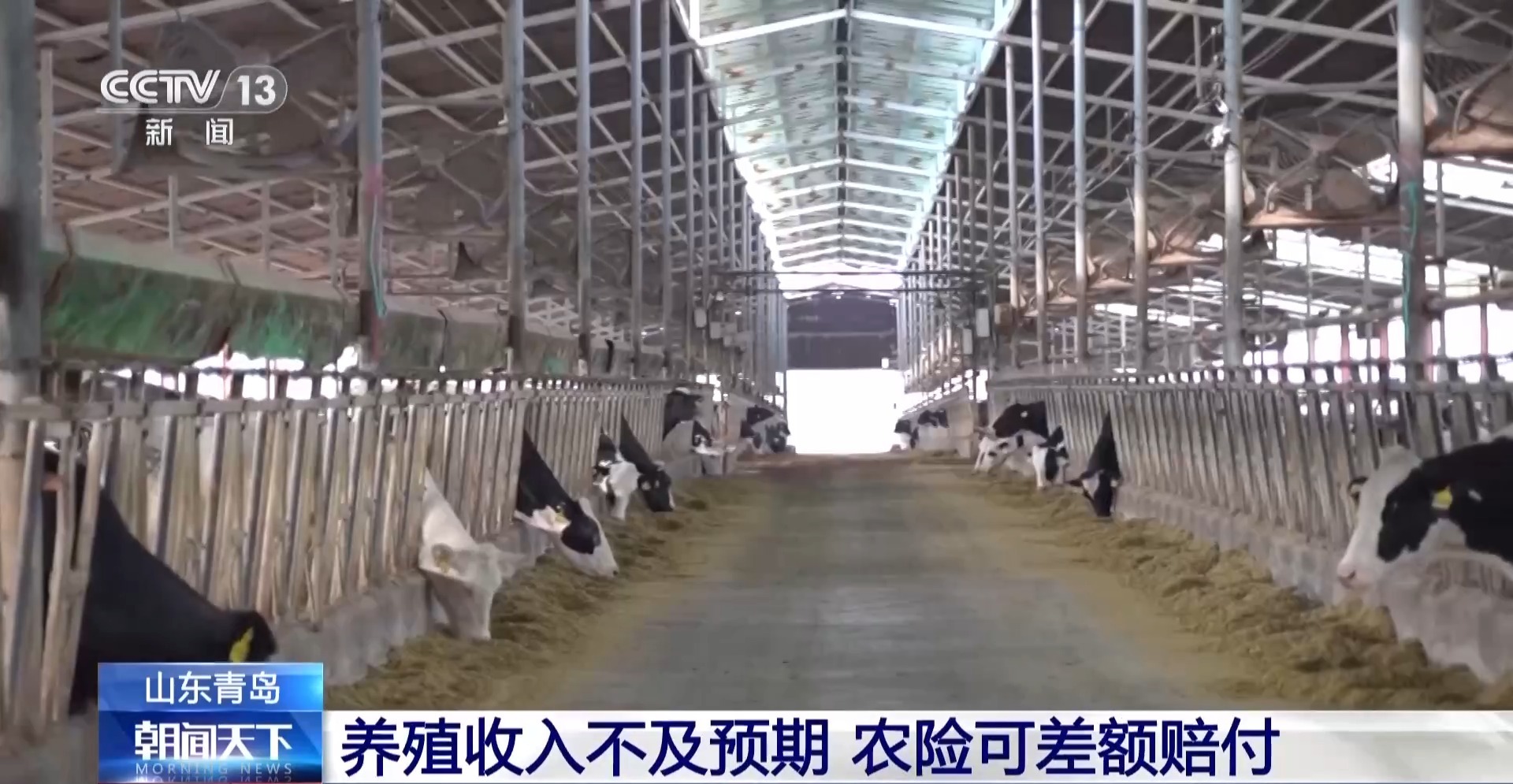 
山东省精神卫生中心杨晓东医生黄牛预约代挂号电话兜底减损、可差额赔付 农业保险成农户稳收益有力支撑