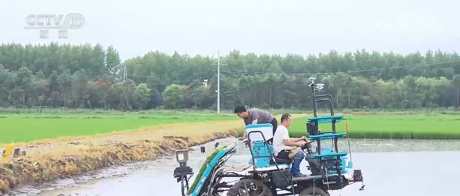 上海市胸科医院李志刚医生黄牛预约代挂号电话农业现代化插上科技“翅膀” 大农机“闯关”黑土地、小农机“跃上”丘陵
