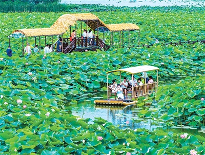 
北京宣武医院陈飞李海峰林华张鸿祺吴浩王硕张东刘鹏黄牛挂号电话暑期游“热”起来