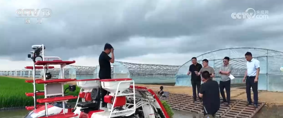 上海市胸科医院李志刚医生黄牛预约代挂号电话农业现代化插上科技“翅膀” 大农机“闯关”黑土地、小农机“跃上”丘陵