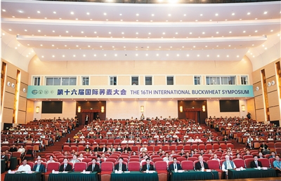 
广州红十字会医院黄牛号贩子票贩子代网上预约代挂号电话四川邛海畔的全球“荞麦之约”
