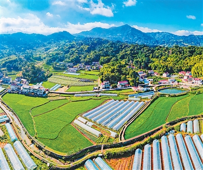 
上海交通大学医学院附属瑞金医院沈柏用医生黄牛预约代挂号电话70%，关联这些乡村建设账（“三农”补短板，看这4项指标④）