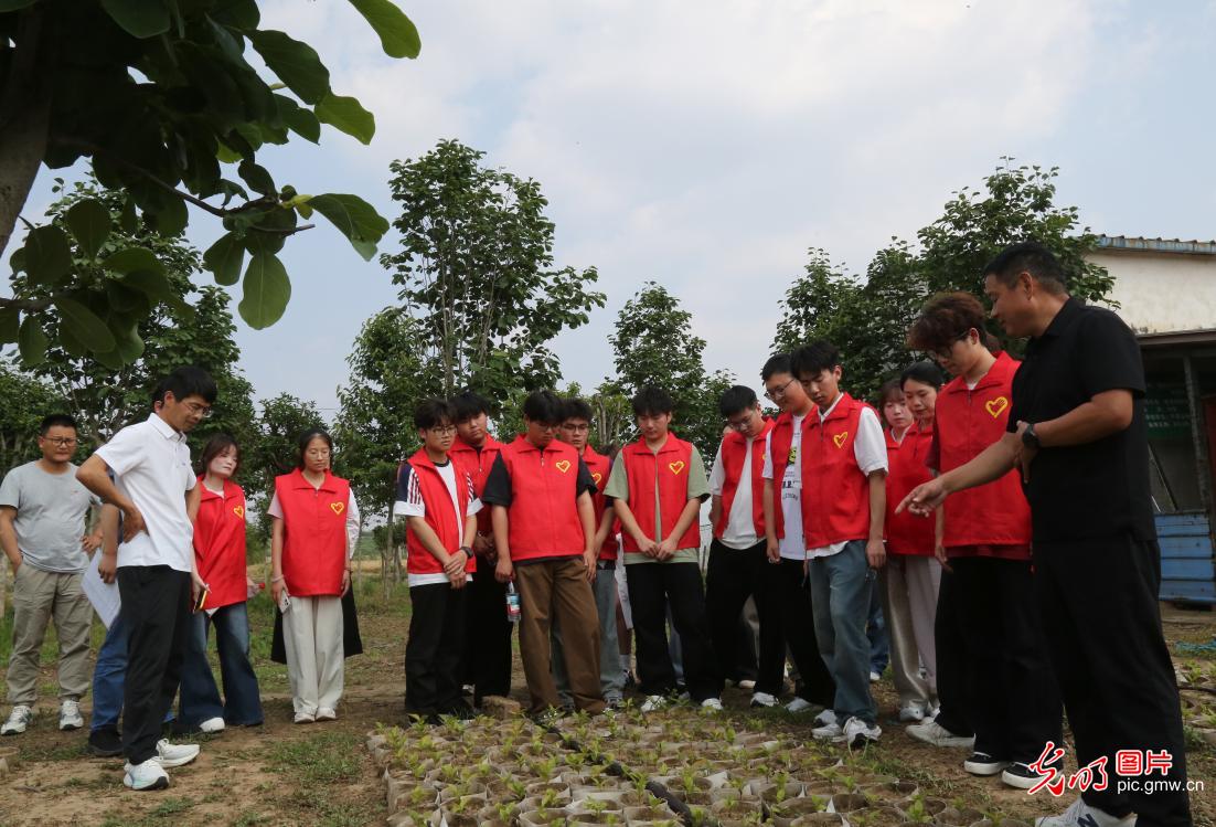 
北京大学人民医院高杰李照孔圆贾晋松黄牛挂号电话这个暑假，他们把课堂搬进了企业产业一线
