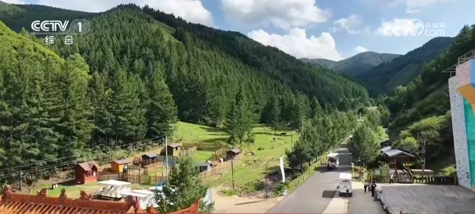 山东第一医科大学附属肿瘤医院李大鹏医生黄牛预约代挂号电话各地花样文旅活动激活夏日消费热情 众多特色活动你喜欢哪一项