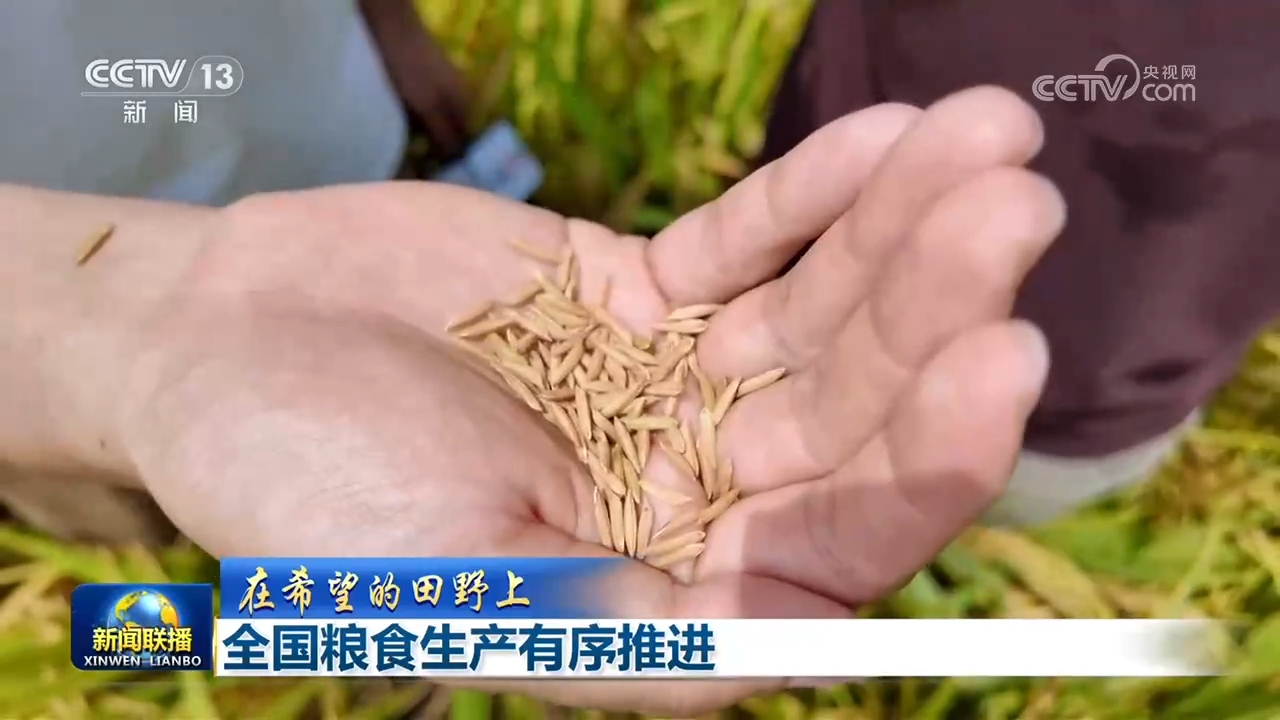 
四川成都华西医院黄牛挂号电话【在希望的田野上】全国粮食生产有序推进