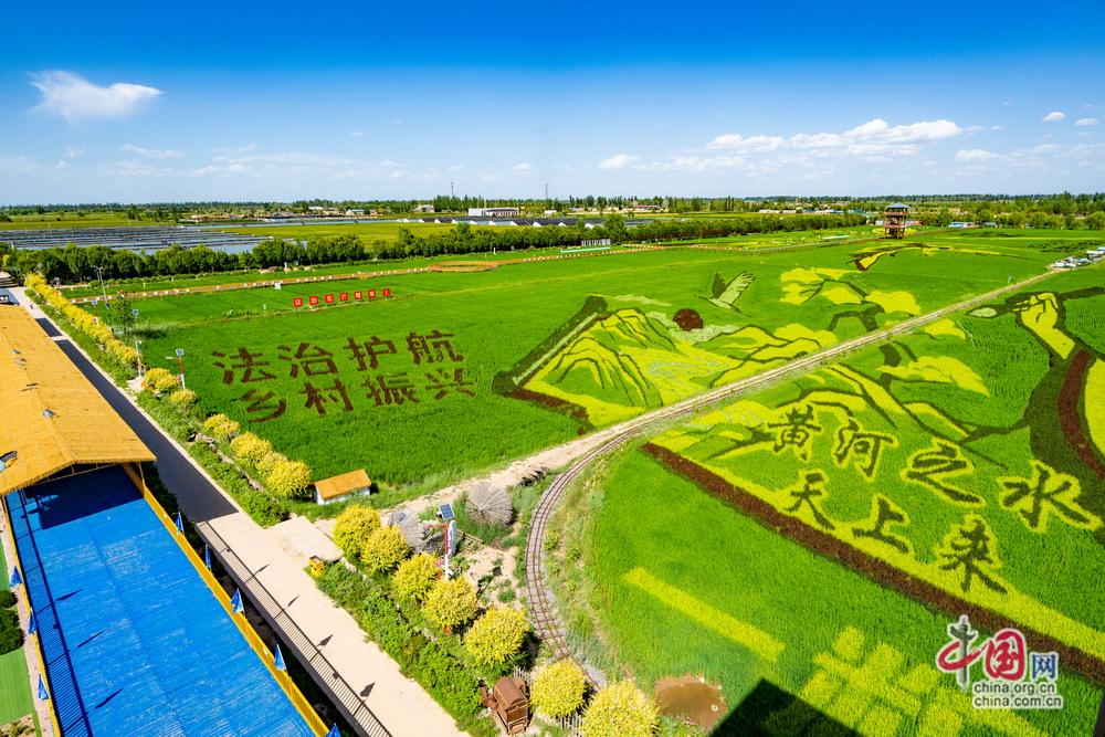 
天津医科大学总医院钟跃岳树源刘辉黄牛挂号电话E法同行 法润塞上 | 宁夏贺兰：稻田里“长”出的法治新风景【图刊】