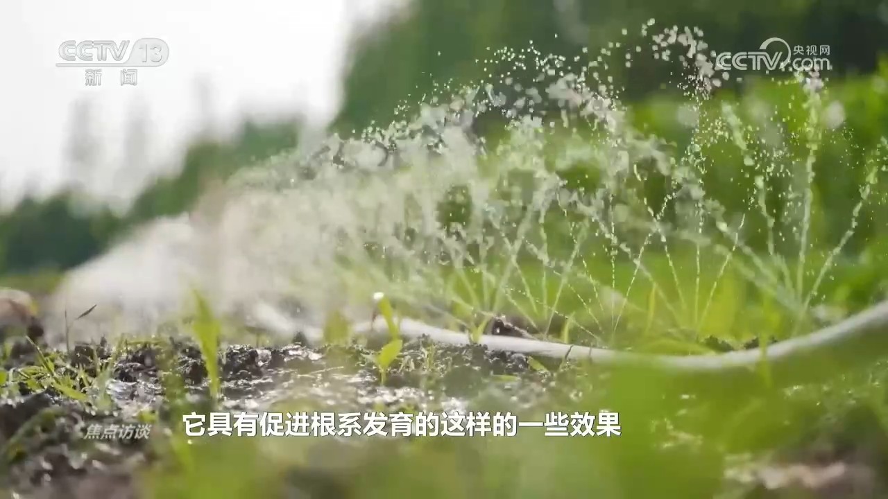 
中国医学科学院阜外医院田涛医生黄牛预约代挂号电话焦点访谈｜播种晚、病害多、雨季早……这季夏粮丰收是怎么“拼”出来的？