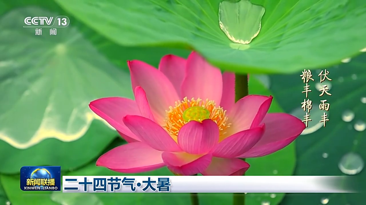 
中山大学中山眼科中心杨晖黄圣松林小铭文峰黄牛挂号电话文化中国行丨二十四节气·大暑 感受盛夏最浓时