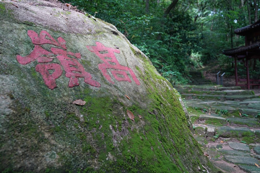 
重庆各大医院黄牛挂号电话新华社出图丨这就是“千年瓷都”景德镇