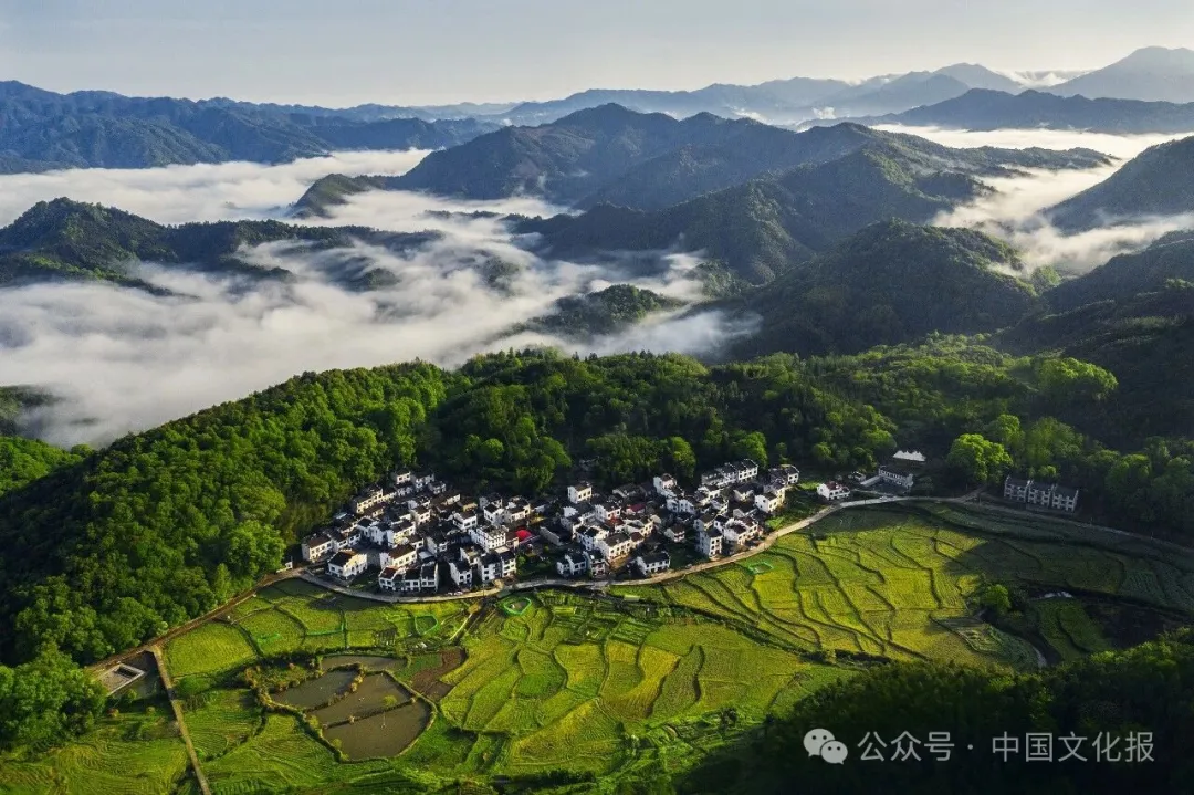 中南大学湘雅三医院西京医院聂勇战刘学东邓艳春王延李同斌于瑞黄牛挂号电话第61项,为什么在景德镇?