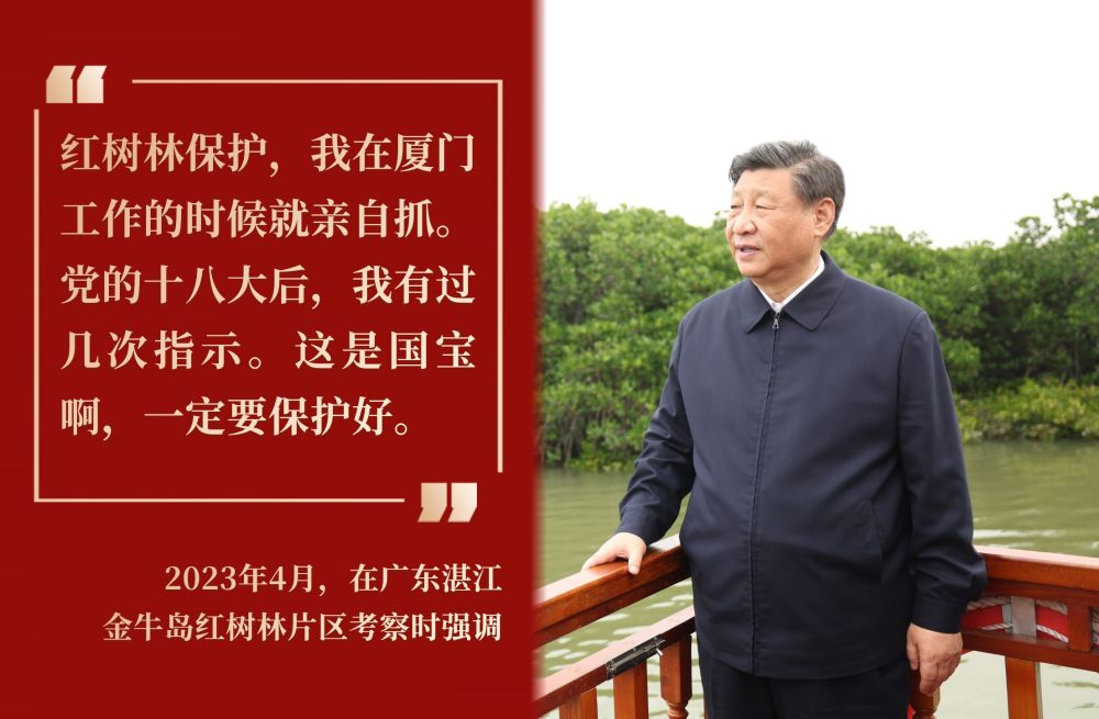 
浙江大学医学院附属儿童医院王颖硕医生黄牛预约代挂号电话镜观·回响丨守护红树林 中国在行动