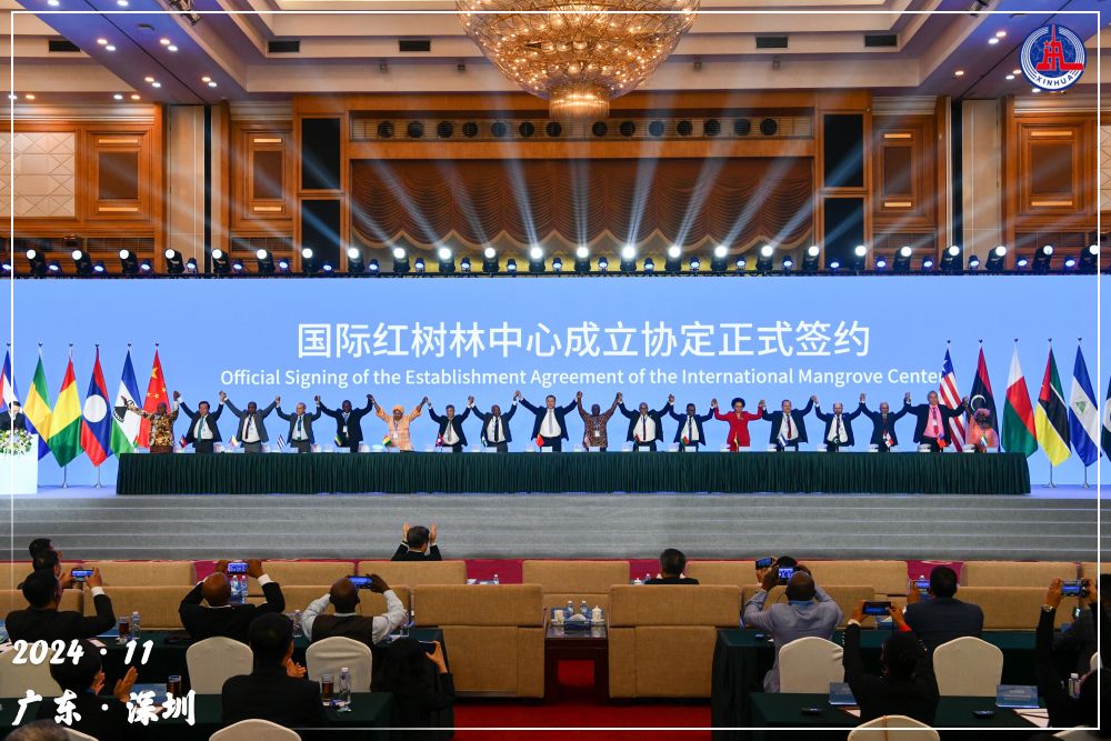 
浙江大学医学院附属儿童医院王颖硕医生黄牛预约代挂号电话镜观·回响丨守护红树林 中国在行动