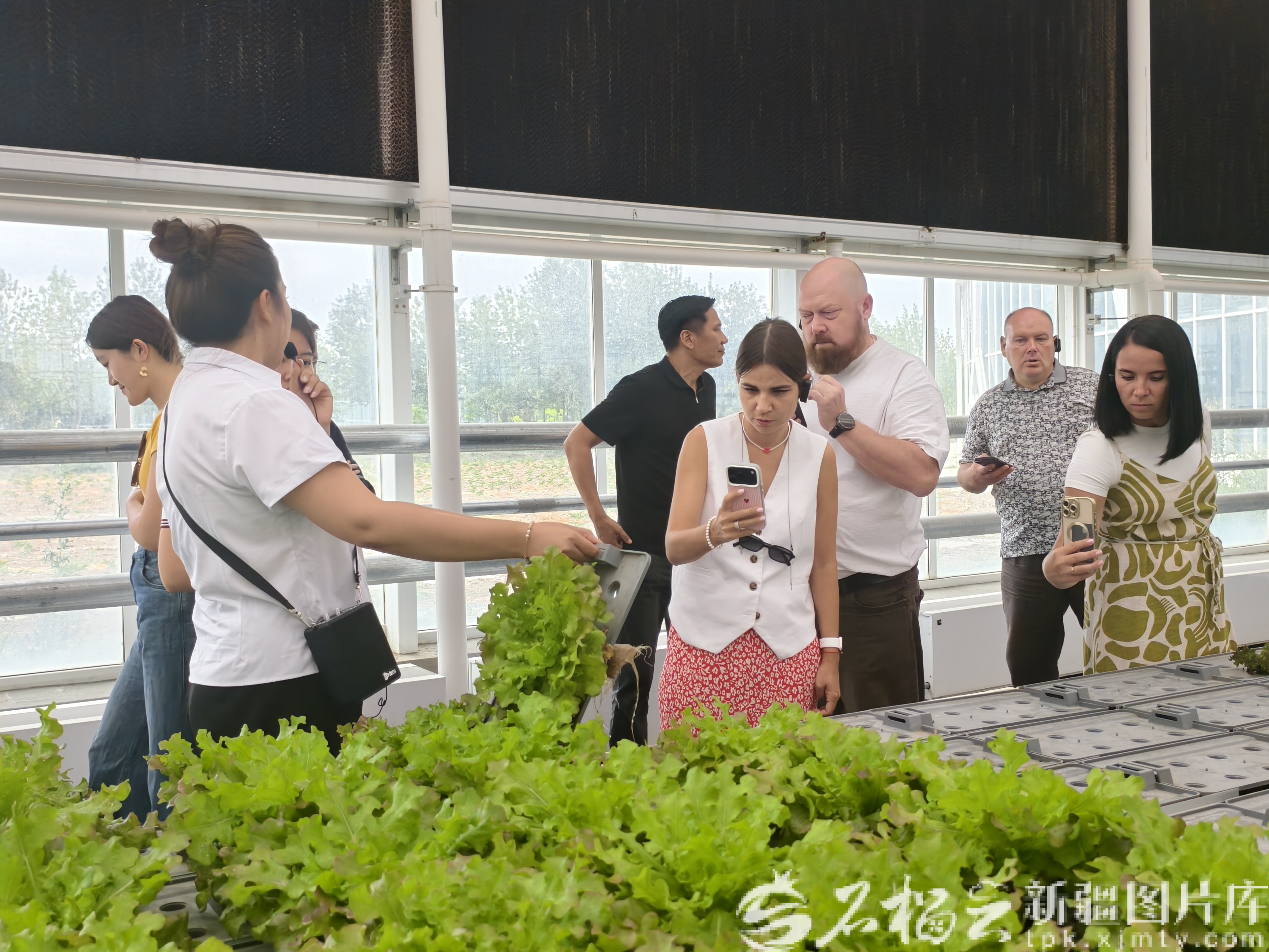 
成都医院黄牛号贩子票贩子代网上预约代挂号电话伏尔加河畔的镜头与天山的回响——俄罗斯伏尔加河沿岸联邦区媒体代表团一行走进新疆