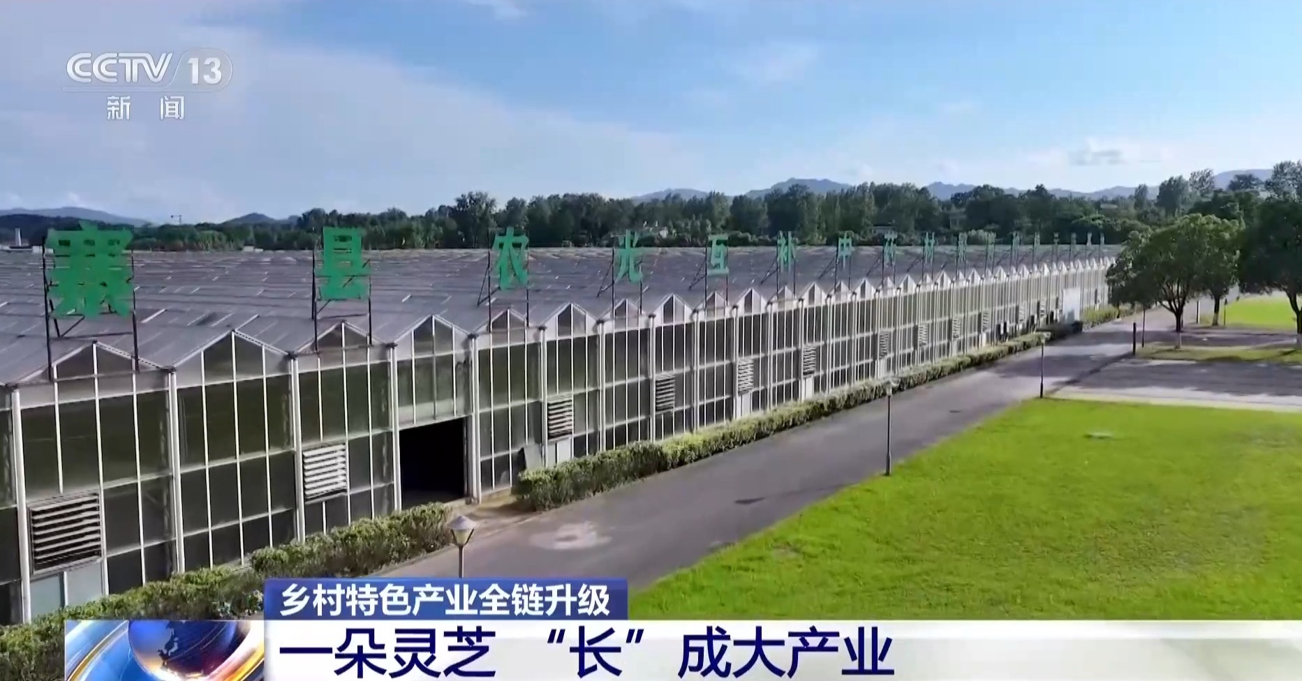
北京安贞医院李刚医生黄牛预约代挂号电话一朵灵芝“长”成大产业 乡村特色产业全链提质升级