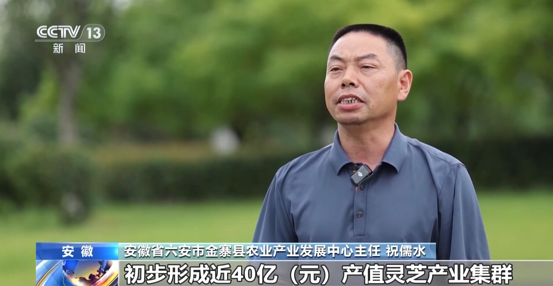 
北京安贞医院李刚医生黄牛预约代挂号电话一朵灵芝“长”成大产业 乡村特色产业全链提质升级