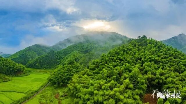 复旦大学附属眼耳鼻喉科学院徐成志医生黄牛预约代挂号电话长江十年行|守护上游生态芯 乌蒙山海焕新生