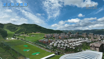 上海中医药大学附属龙华医院陈红风医生黄牛预约代挂号电话夏日经济观察|“冷资源”如何释放“热效能”