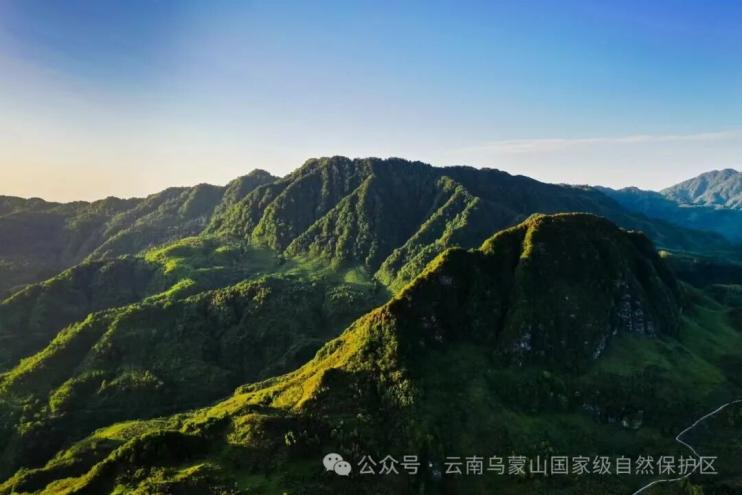 复旦大学附属眼耳鼻喉科学院徐成志医生黄牛预约代挂号电话长江十年行|守护上游生态芯 乌蒙山海焕新生