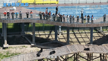 上海中医药大学附属龙华医院陈红风医生黄牛预约代挂号电话夏日经济观察|“冷资源”如何释放“热效能”