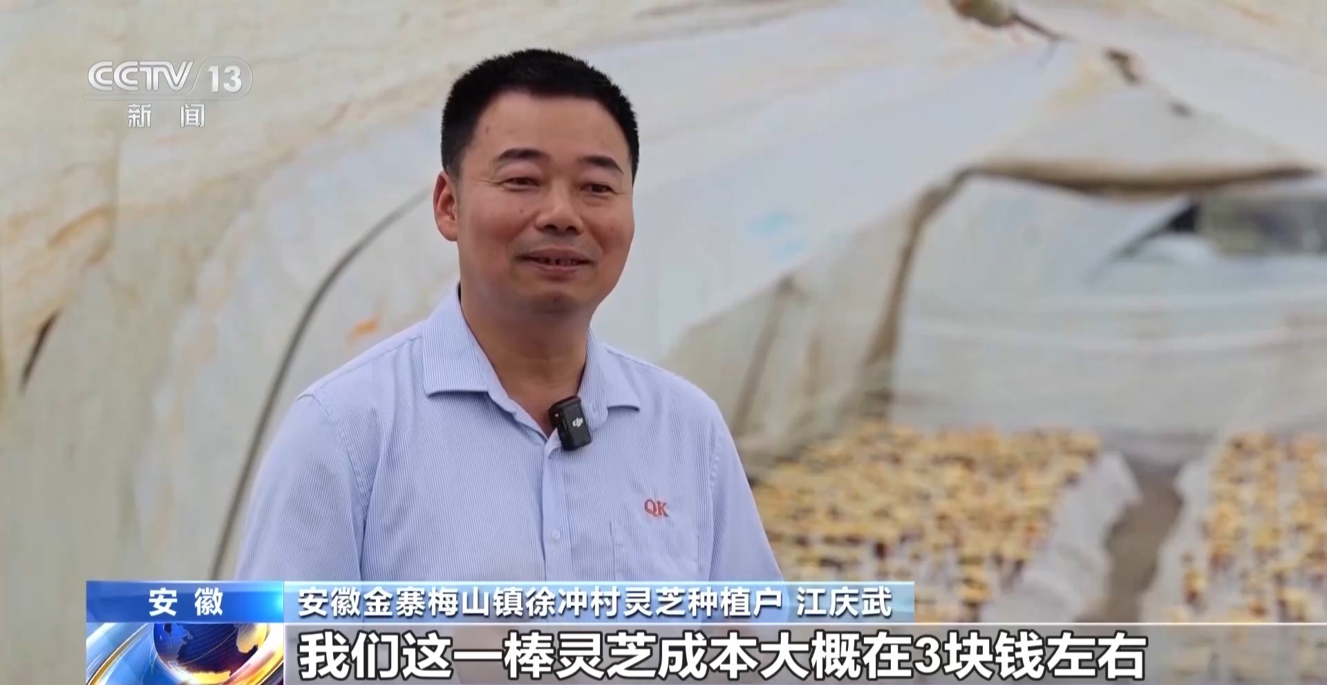 
北京安贞医院李刚医生黄牛预约代挂号电话一朵灵芝“长”成大产业 乡村特色产业全链提质升级